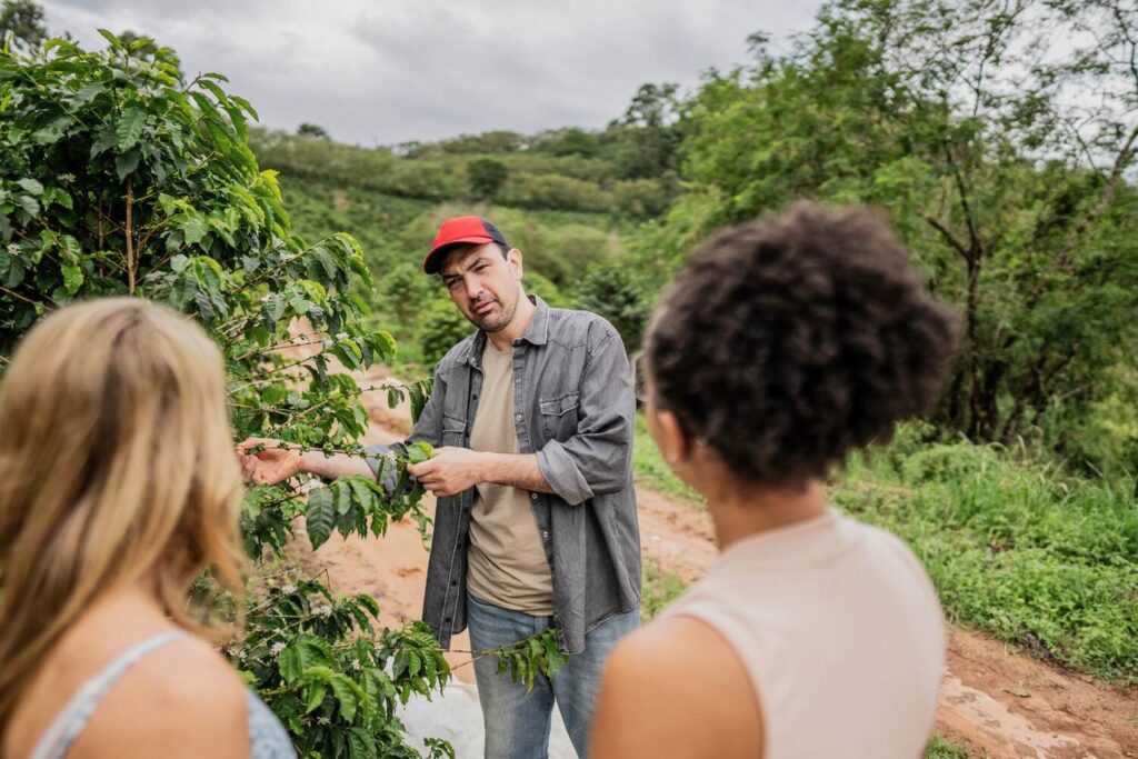 Coffee tour at Don Juan Coffee Farm