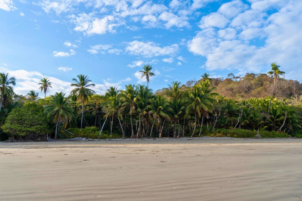 Main beach in Santa Teresa Costa Rica