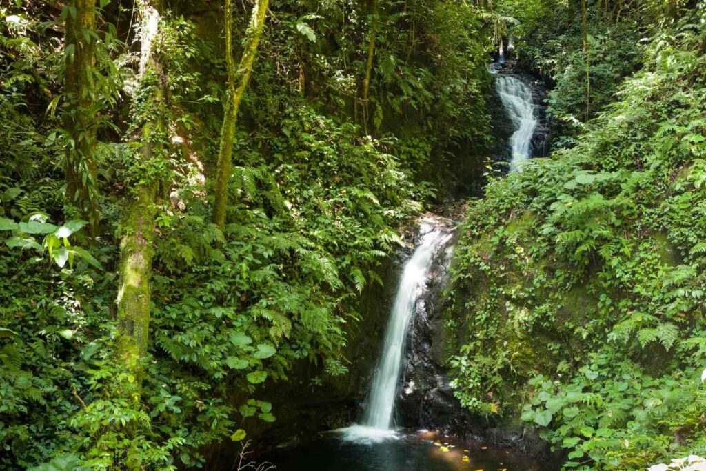 waterfall at the Monteverde Cloud Forest Reserve