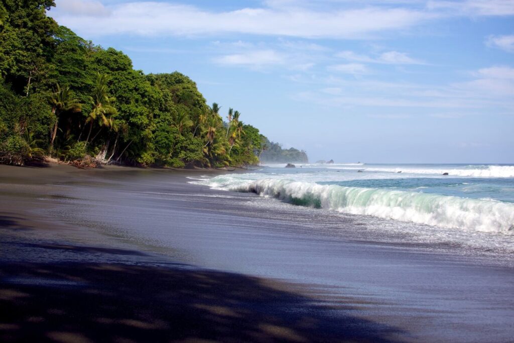 Black sand beach with waves and palm trees in Osa Peninsula
