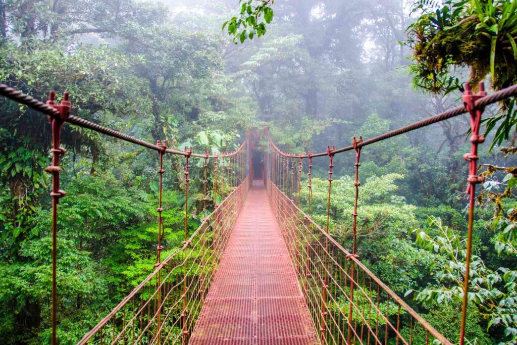 Hanging bridge in Monteverde cloud forest, Costa Rica.