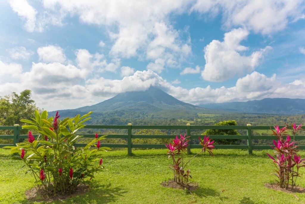 View of Arenal Volcano with flowers in the foreground.
