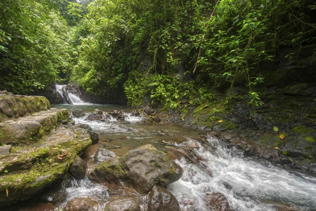 Waterfall in Rainmaker Reserve Manuel Antonio Costa Rica
