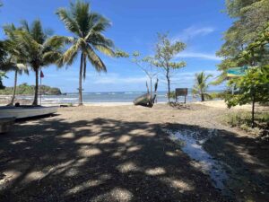 Playa Pelada Nosara, Costa Rica: Visitor's Guide 2025