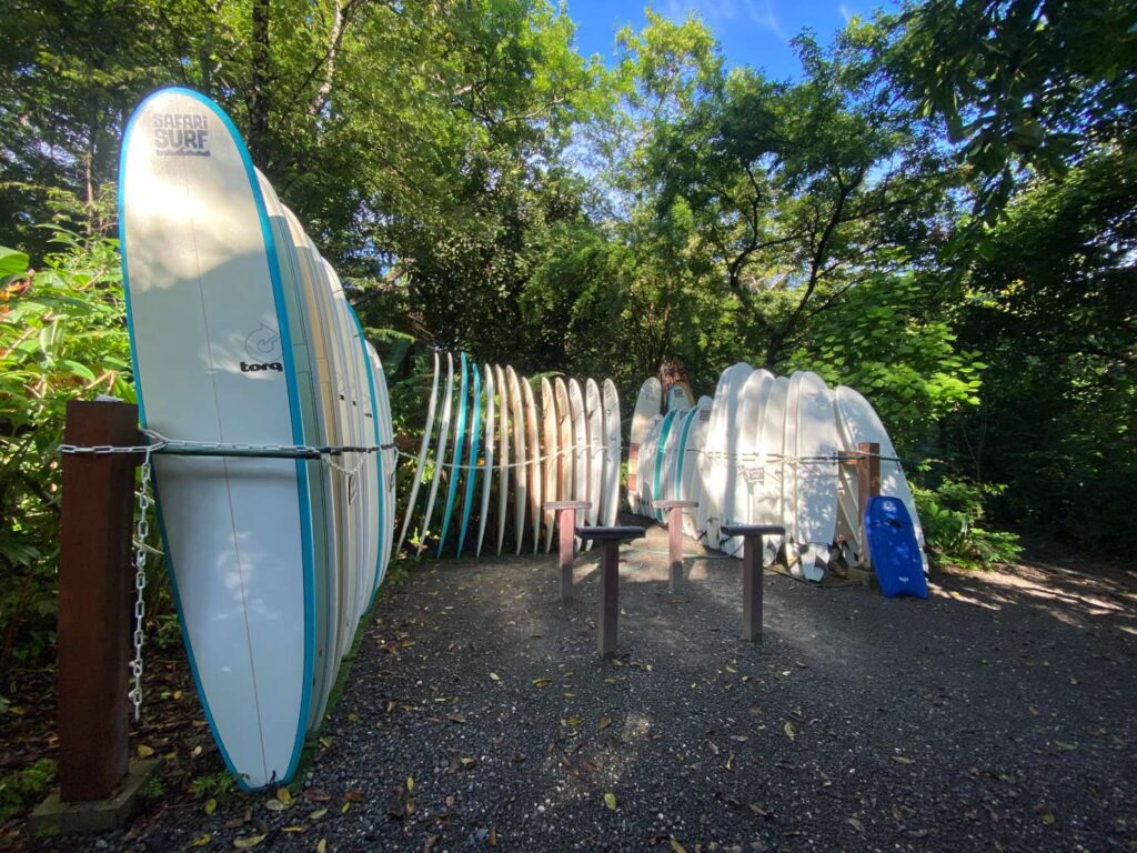 Surf Boards in Nosara