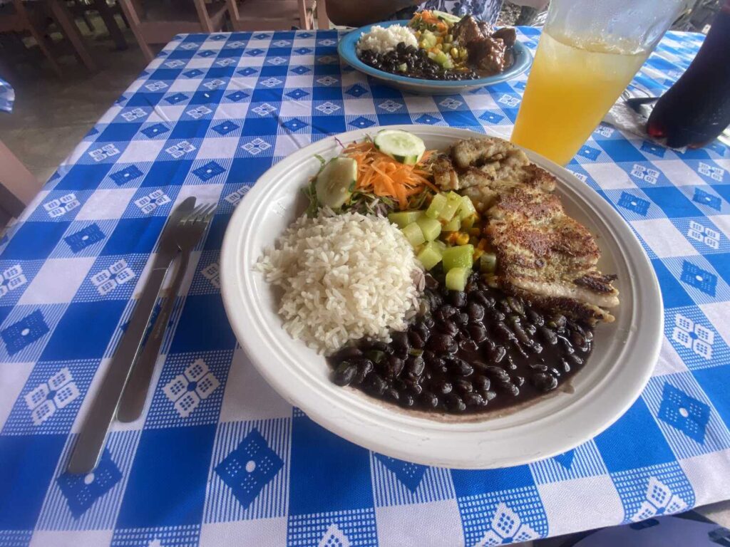 Traditional Costa Rican casado with fish, rice, beans, and salad