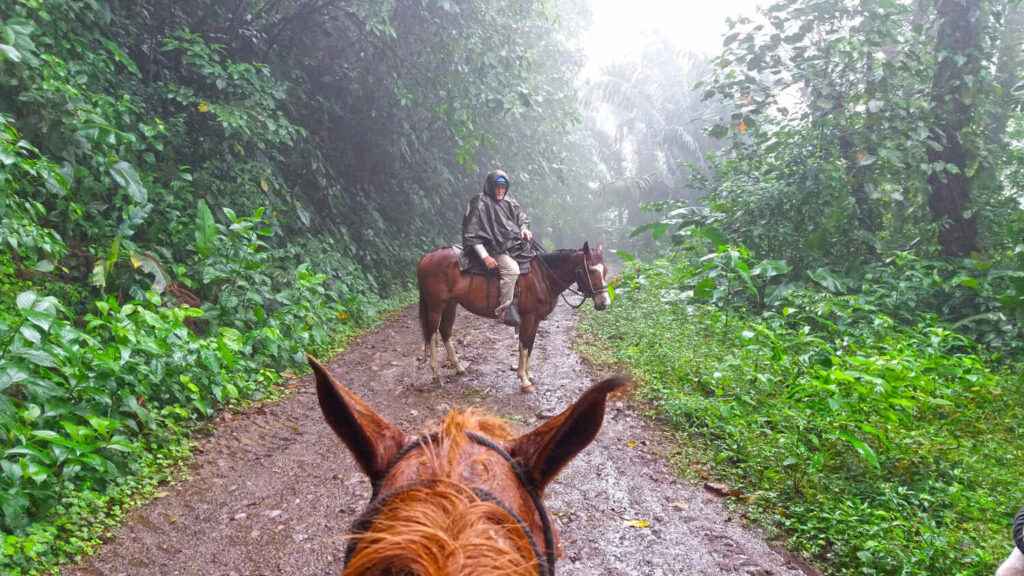 Horseback riding tour in Arenal Volcano National Park