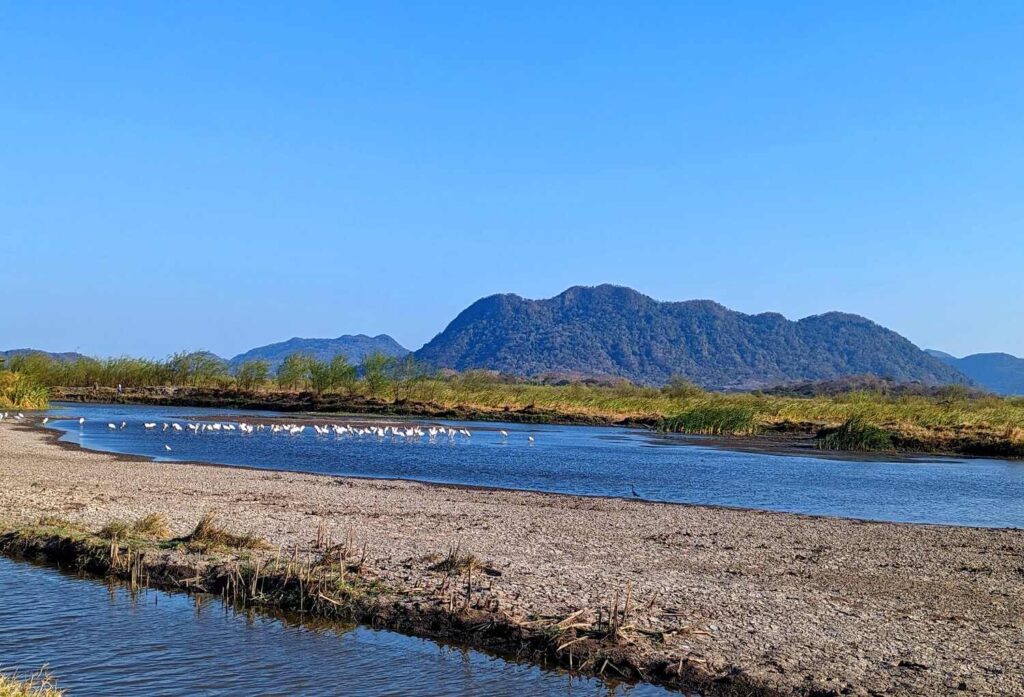 Palo Verde in Costa Rica